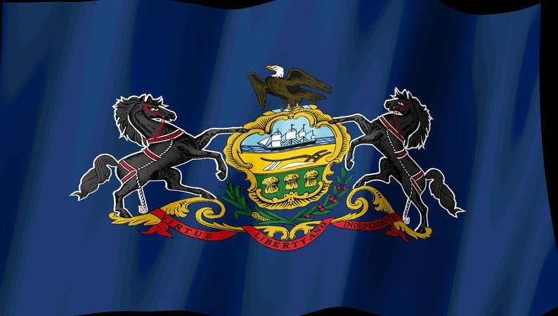 Pennsylvania Flag Stream Deck Screensaver, Animated Waving Flag GIF, Elgato MK2 XL Plus, Instant Digital Download image 2