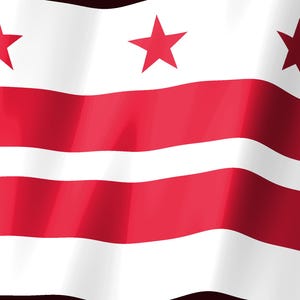 Washington DC Flag Stream Deck Screensaver, Animated Waving Flag GIF, Elgato MK2 XL Plus, Instant Digital Download image 2