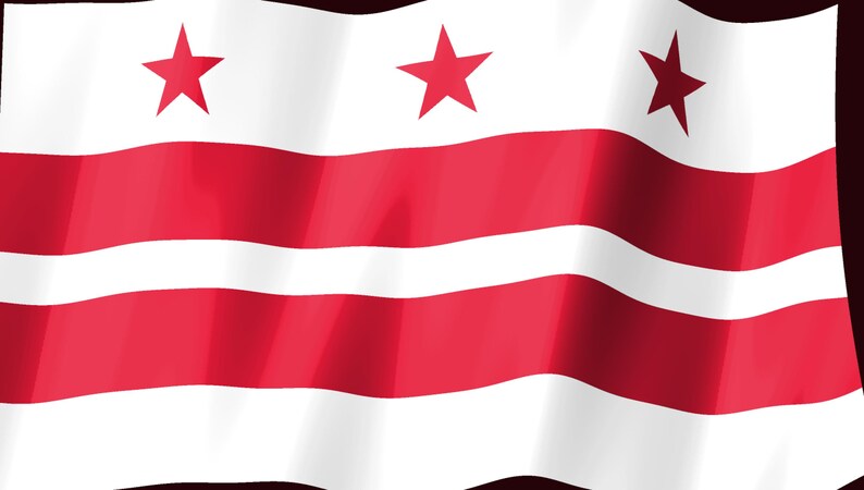 Washington DC Flag Stream Deck Screensaver, Animated Waving Flag GIF, Elgato MK2 XL Plus, Instant Digital Download image 2