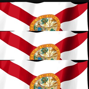 Skärmsläckare för Floridas flagga, animerad GIF med viftande flagga, Elgato MK2 XL Plus, omedelbar digital nedladdning bild 4