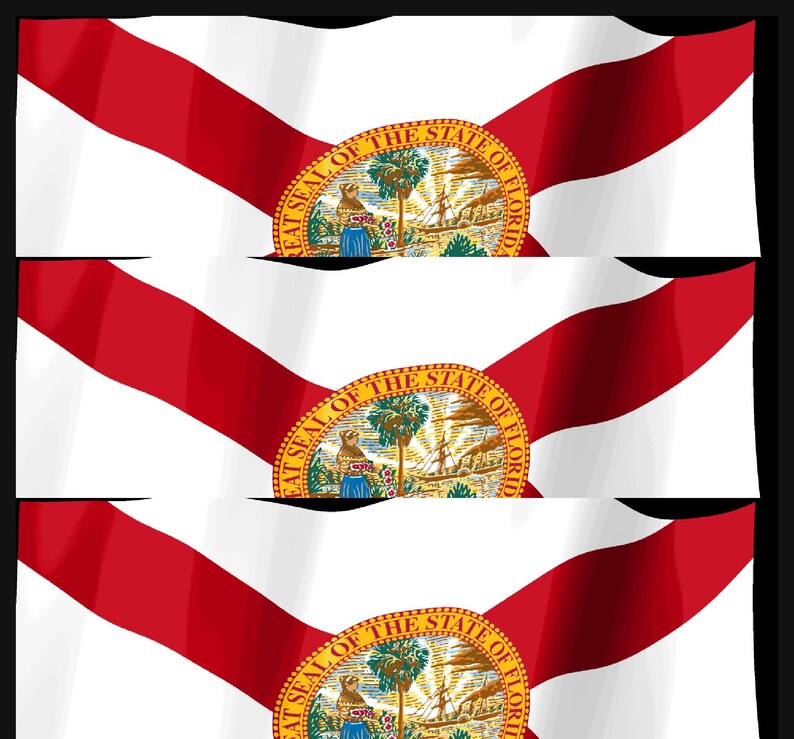 Skärmsläckare för Floridas flagga, animerad GIF med viftande flagga, Elgato MK2 XL Plus, omedelbar digital nedladdning bild 4