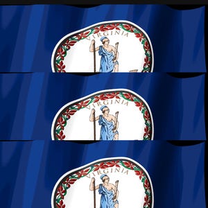 Screensaver met de vlag van Virginia (Virginia Flag Stream Deck), geanimeerde GIF van een wapperende vlag, Elgato MK2 XL Plus, direct digitaal te downloaden. afbeelding 4