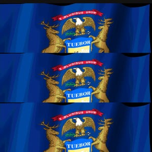 Skärmsläckare för Michigan Flag Stream Deck, animerad viftande flagga-GIF, Elgato MK2 XL Plus, omedelbar digital nedladdning bild 4