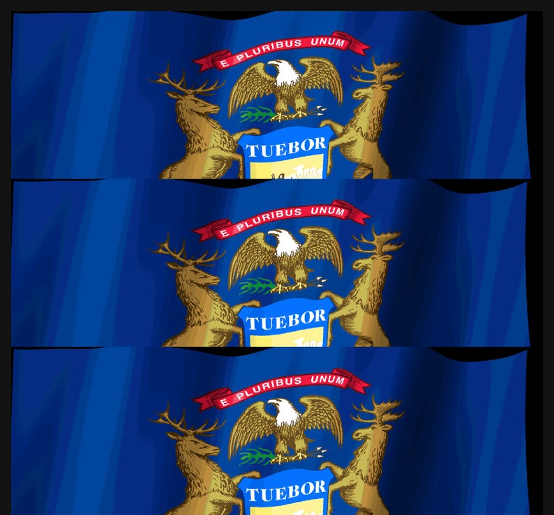 Skärmsläckare för Michigan Flag Stream Deck, animerad viftande flagga-GIF, Elgato MK2 XL Plus, omedelbar digital nedladdning bild 4