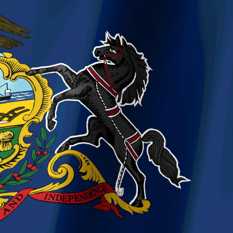 Pennsylvania Flag Stream Deck Screensaver, Animated Waving Flag GIF, Elgato MK2 XL Plus, Instant Digital Download image 3