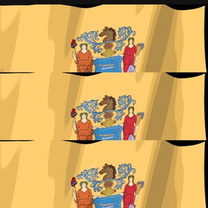 Skärmsläckare för New Jersey-flaggan, animerad GIF med viftande flagga, Elgato MK2 XL Plus, omedelbar digital nedladdning bild 4