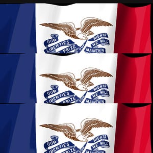 Puede incluir: Una bandera tricolor vertical de azul, blanco y rojo con un &aacute;guila marr&oacute;n en el centro. El &aacute;guila sostiene una cinta azul en su pico con el texto "OUR LIBERTIES WE PRIZE AND OUR RIGHTS WE WILL MAINTAIN" escrito en letras blancas.