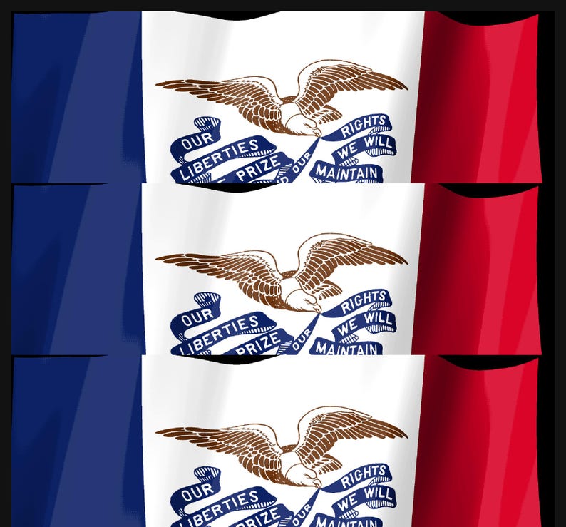 Puede incluir: Una bandera tricolor vertical de azul, blanco y rojo con un &aacute;guila marr&oacute;n en el centro. El &aacute;guila sostiene una cinta azul en su pico con el texto "OUR LIBERTIES WE PRIZE AND OUR RIGHTS WE WILL MAINTAIN" escrito en letras blancas.