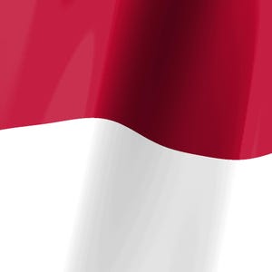 Skärmsläckare för North Carolina Flag Stream Deck, animerad GIF med viftande flagga, Elgato MK2 XL Plus, omedelbar digital nedladdning bild 3