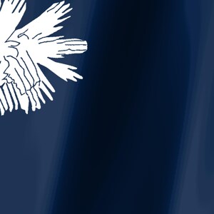 May include: A deep navy blue background featuring a partial white graphic of a palmetto tree leaf in the upper left corner. The design is characterized by a smooth, solid color field contrasted with the stark white, jagged, and organic lines.