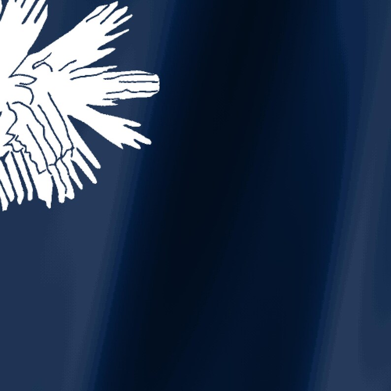 May include: A deep navy blue background featuring a partial white graphic of a palmetto tree leaf in the upper left corner. The design is characterized by a smooth, solid color field contrasted with the stark white, jagged, and organic lines.
