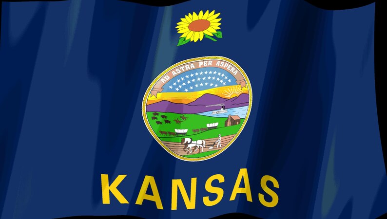 Kansas-Flagge als Stream-Deck-Bildschirmschoner, animierte wehende Flagge (GIF), Elgato MK2 XL Plus, sofortiger digitaler Download Bild 2