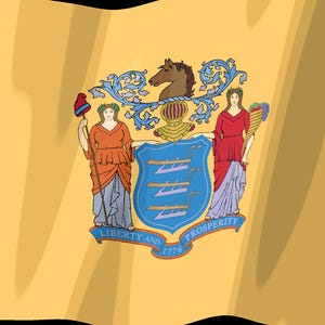 Skärmsläckare för New Jersey-flaggan, animerad GIF med viftande flagga, Elgato MK2 XL Plus, omedelbar digital nedladdning bild 2