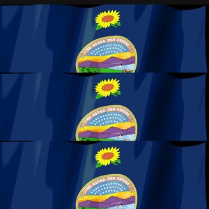 Kansas-Flagge als Stream-Deck-Bildschirmschoner, animierte wehende Flagge (GIF), Elgato MK2 XL Plus, sofortiger digitaler Download Bild 4