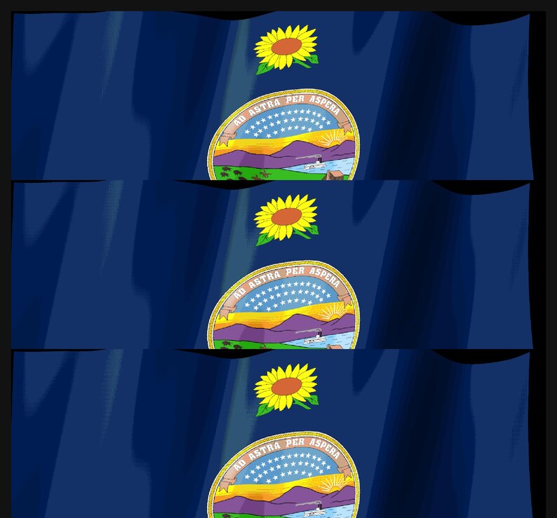 Kansas-Flagge als Stream-Deck-Bildschirmschoner, animierte wehende Flagge (GIF), Elgato MK2 XL Plus, sofortiger digitaler Download Bild 4