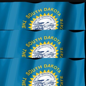 May include: Three horizontal blue flags featuring the state seal of South Dakota in the center. The seal includes a landscape with a river, hills, and a steamboat, surrounded by a yellow sunburst and the text THE SOUTH DAKOTA STATE.