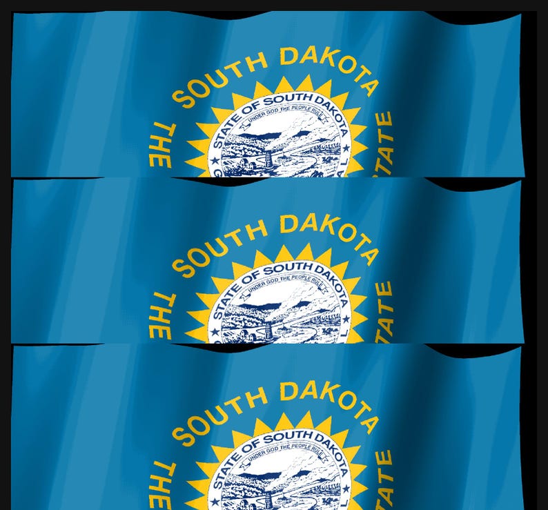 May include: Three horizontal blue flags featuring the state seal of South Dakota in the center. The seal includes a landscape with a river, hills, and a steamboat, surrounded by a yellow sunburst and the text THE SOUTH DAKOTA STATE.