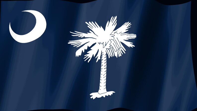 May include: The state flag of South Carolina features a deep indigo blue field with a centered white palmetto tree and a white crescent moon positioned in the upper left corner. The fabric appears to have a slight wave, creating subtle shadows.