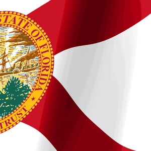 Skärmsläckare för Floridas flagga, animerad GIF med viftande flagga, Elgato MK2 XL Plus, omedelbar digital nedladdning bild 3