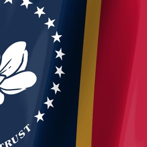 Mississippi Flag Stream Deck Screensaver, Animated Waving Flag GIF, Elgato MK2 XL Plus, Instant Digital Download image 3