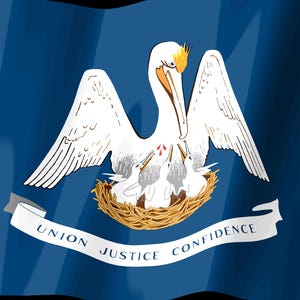 Pode incluir: A bandeira do estado da Louisiana apresenta um campo azul escuro com um pelicano branco alimentando seus tr&ecirc;s filhotes em um ninho marrom. Acima do ninho h&aacute; tr&ecirc;s gotas de sangue vermelhas. Uma fita branca exibe o texto UNION JUSTICE CONFIDENCE.