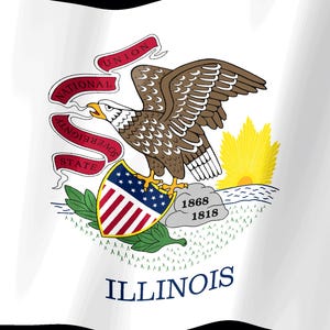 Screensaver met de vlag van Illinois, geanimeerde GIF van een wapperende vlag, Elgato MK2 XL Plus, direct digitaal te downloaden. afbeelding 2