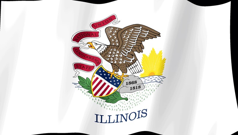 Screensaver met de vlag van Illinois, geanimeerde GIF van een wapperende vlag, Elgato MK2 XL Plus, direct digitaal te downloaden. afbeelding 2