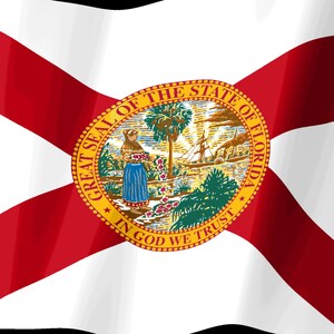 Skärmsläckare för Floridas flagga, animerad GIF med viftande flagga, Elgato MK2 XL Plus, omedelbar digital nedladdning bild 2