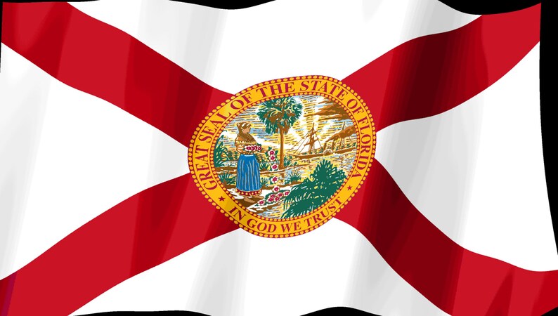 Skärmsläckare för Floridas flagga, animerad GIF med viftande flagga, Elgato MK2 XL Plus, omedelbar digital nedladdning bild 2
