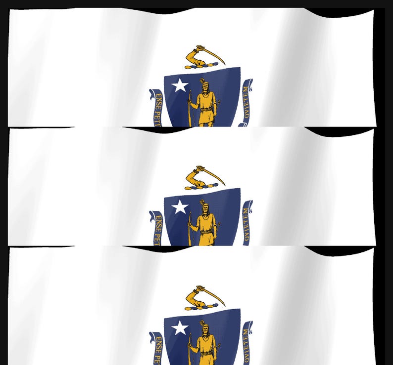 May include: The flag of Massachusetts features a white field with a central blue shield. Inside the shield is a gold figure of an Indigenous person holding a bow and arrow. Above the shield is a gold arm holding a sword. The text Ense Petit Placidam Sub Libertate Quietem is visible on blue ribbons.