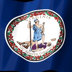 Screensaver met de vlag van Virginia (Virginia Flag Stream Deck), geanimeerde GIF van een wapperende vlag, Elgato MK2 XL Plus, direct digitaal te downloaden. afbeelding 2