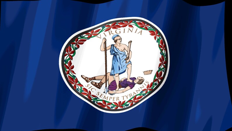 Screensaver met de vlag van Virginia (Virginia Flag Stream Deck), geanimeerde GIF van een wapperende vlag, Elgato MK2 XL Plus, direct digitaal te downloaden. afbeelding 2
