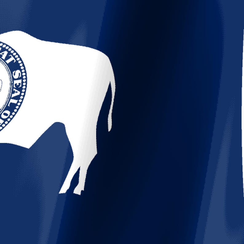 Screensaver met de vlag van Wyoming, geanimeerde GIF van een wapperende vlag, Elgato MK2 XL Plus, direct digitaal te downloaden. afbeelding 3
