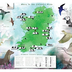 Poster della Riserva BirdWatch Ireland