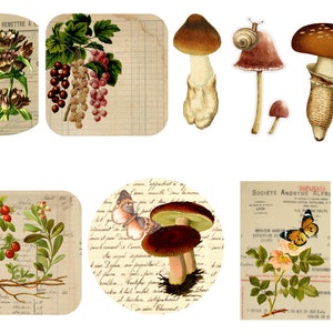 Digital Download JUNK JOURNAL Cards Ephemera Scrapbook Embellishments Mushrooms
