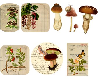 Digital Download JUNK JOURNAL Cards Ephemera Scrapbook Embellishments Mushrooms