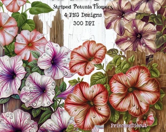 Watercolor Striped Petunias Clipart: Spring Flower PNG (Digital Download)