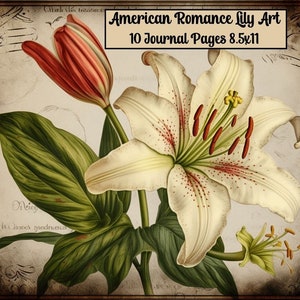 Lily Flower Digital Junk Journal Pages