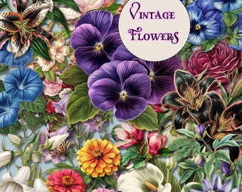 Puede incluir: Un collage digital de ilustraciones florales vintage con pensamientos, lirios, zinnias y otras flores en varios colores, incluyendo morado, azul, rosa, amarillo y blanco. El texto "Vintage Flowers" está en un marco en forma de corazón.