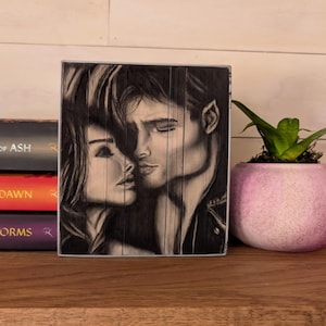 A Court of Thorns and Roses, Sarah J. Maas, 5 book series, Limited Edition, Hand Drawn with Charcoal, ACOTAR