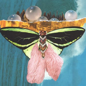 Fraktal Pterodactyl - Druck
