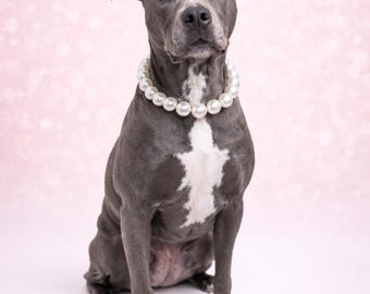 Pearl Dog Necklace for Photoshoots Big Dog Pearl Collar Large Breed Dog Jewelry Pitbull Necklace with Heart Clasp Custom Dog Name Beads Hand
