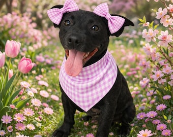 Spring Dog Bows Set, Double Ear Bows for Dogs, Gingham Puppy Bows, Spring Dog Outfit, Cute  Photo Prop, Pastel Dog Accessories