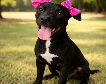 Pigtail Double Dog Bows for  Headbands  pigtails bows doggie bows Girly Bow Set Puppy Hair Accessories Dog Birthday Outfit