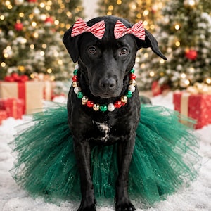 dog christmas dress xl Holiday girl dog christmas outfit