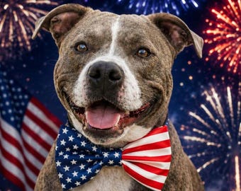 Fourth of July Dog Bow Tie Large Dog Patriotic Bow Tie American Flag Dog Collar Bow Pitbull Dog Accessories USA Puppy Outfit
