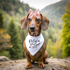Wedding Dog Bandana: Petal Patrol, Flower Girl, Team Bride