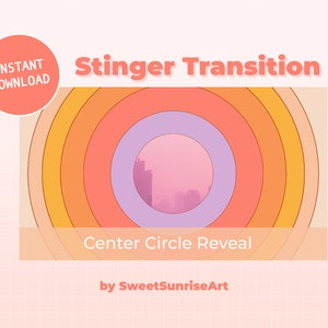 Stinger Transition Twitch | OBS Transition Streamlab Transition Overlay | Animated Video | Simple Minimal Dynamic | Digital Download