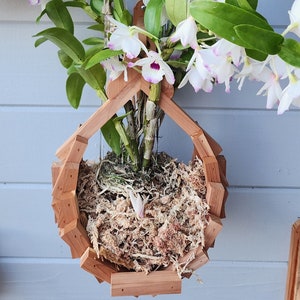 Handcrafted Wooden Orchid Basket with Hook: Rustic Plant Hanger