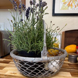 Vintage French Aluminum Woven Wire Basket or Fruit Bowl